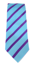 Teal With Purple Stripe Tie by Van Buck