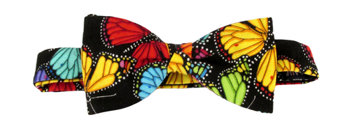 Detailed Butterfly Party Bow by Van Buck