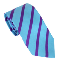 Teal With Purple Stripe Tie by Van Buck