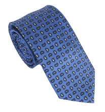Blue & White Paisley Tie by Van Buck