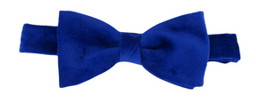 Royal Blue Velvet Bow Tie by Van Buck