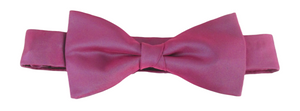 Pink Iridescent Shimmer Two Tone Bow Tie by Van Buck