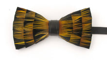 Gold Striped Feather Bow Tie & Lapel Pin Set