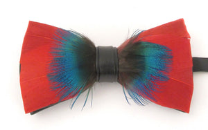 Red & Teal Feather Bow Tie & Lapel Pin Set