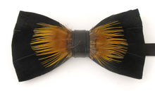 Black & Gold Feather Bow Tie & Lapel Pin Set