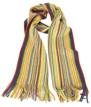 Multi Knitted Stripe Scarf by Van Buck