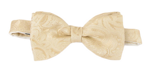 Cream Paisley Silk Bow Tie by Van Buck