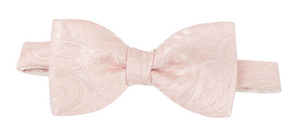 Baby Pink Paisley Silk Bow Tie by Van Buck