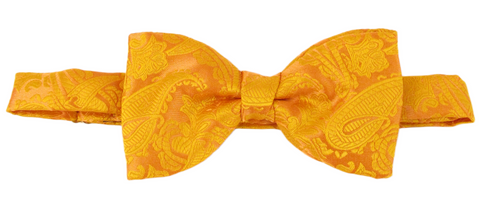 Orange Paisley Bow Tie by Van Buck