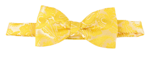 Gold Paisley Bow Tie by Van Buck