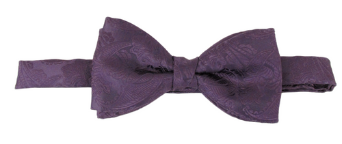 Aubergine Paisley Bow Tie by Van Buck