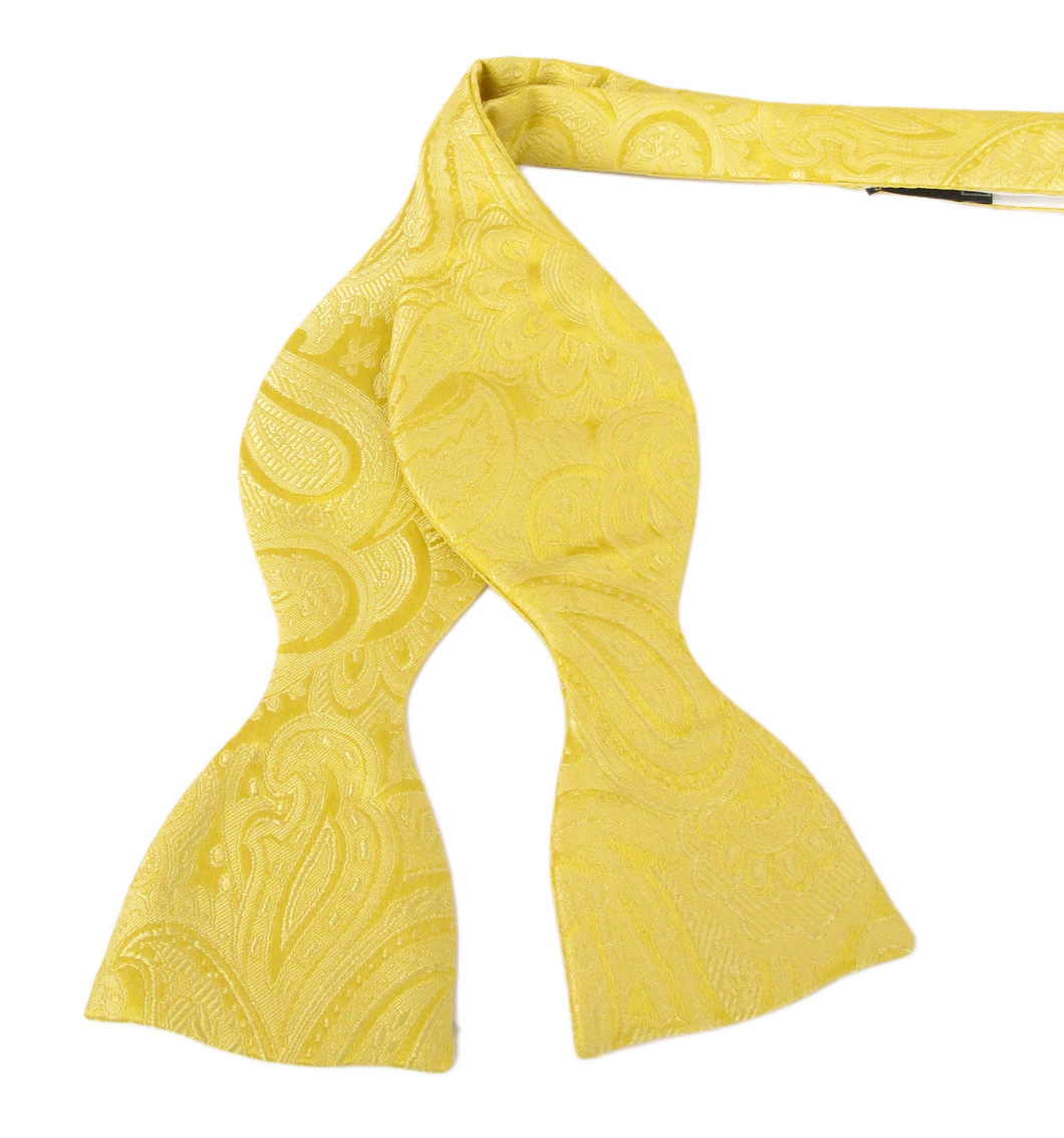 Gold Silk Paisley Self Tie Bow Tie by Van Buck