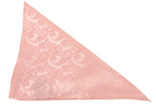 Deep Rose Paisley Tie & Pocket Square by Van Buck