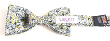 Liberty Print Blue Chive  Bow Tie by Van Buck