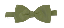 Fern Green Bow Tie by Van Buck 