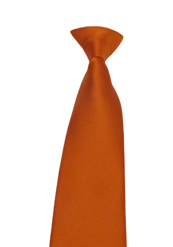 Burnt Orange Satin Clip on Tie by Van Buck