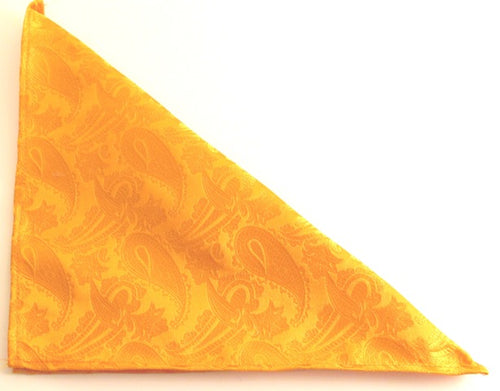 Orange Paisley Silk Pocket Square by Van Buck